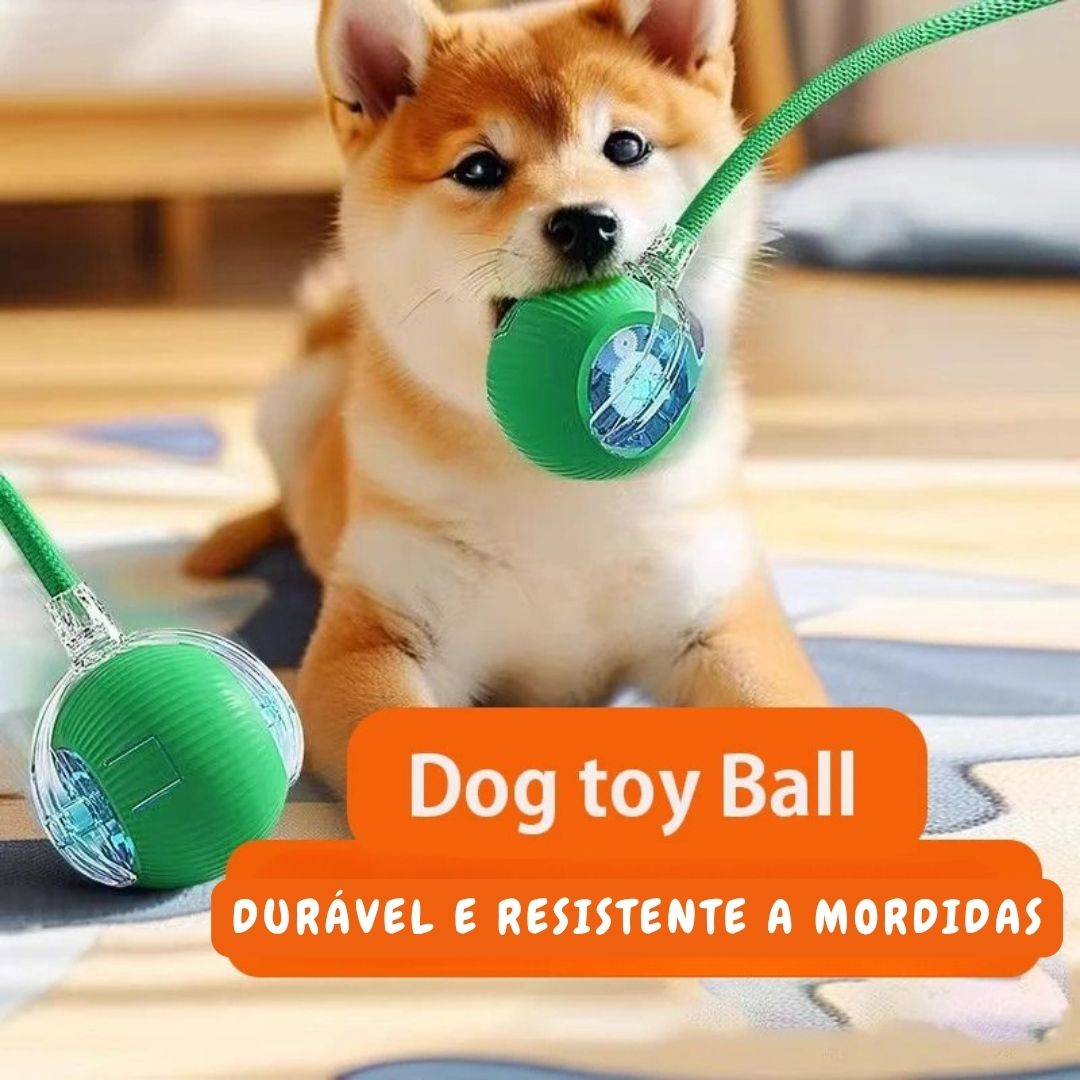 Bolinha Inteligente para Cães Inteligentes - Imagem 3