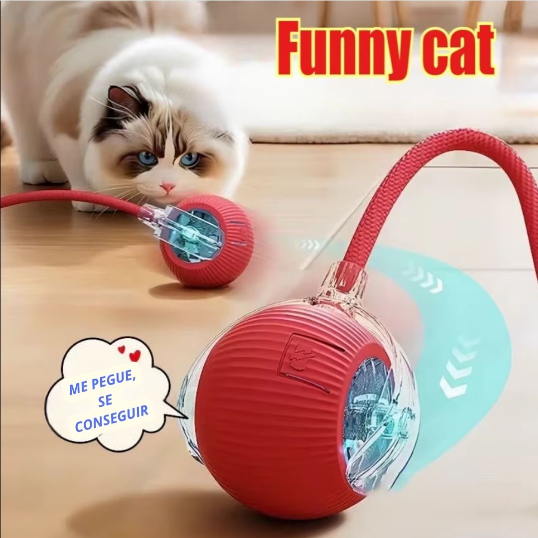 Bolinha Inteligente para Cães Inteligentes