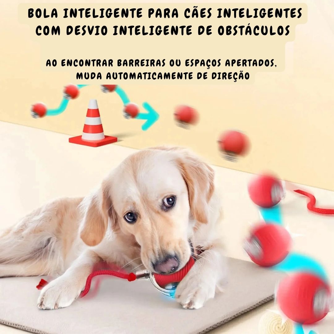 Bolinha Inteligente para Cães Inteligentes - Imagem 6