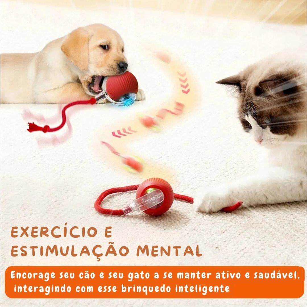 Bolinha Inteligente para Cães Inteligentes - Imagem 8