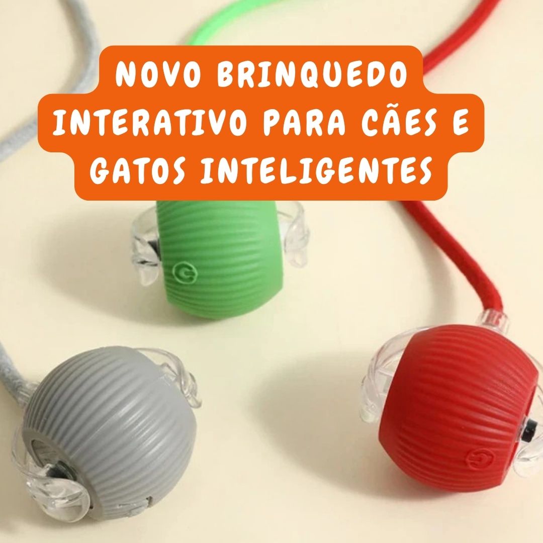 Bolinha Inteligente para Cães Inteligentes - Imagem 10