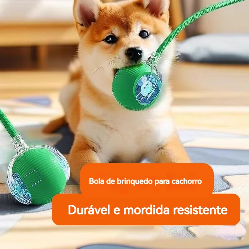 Bolinha Inteligente para Cães Inteligentes - Imagem 3
