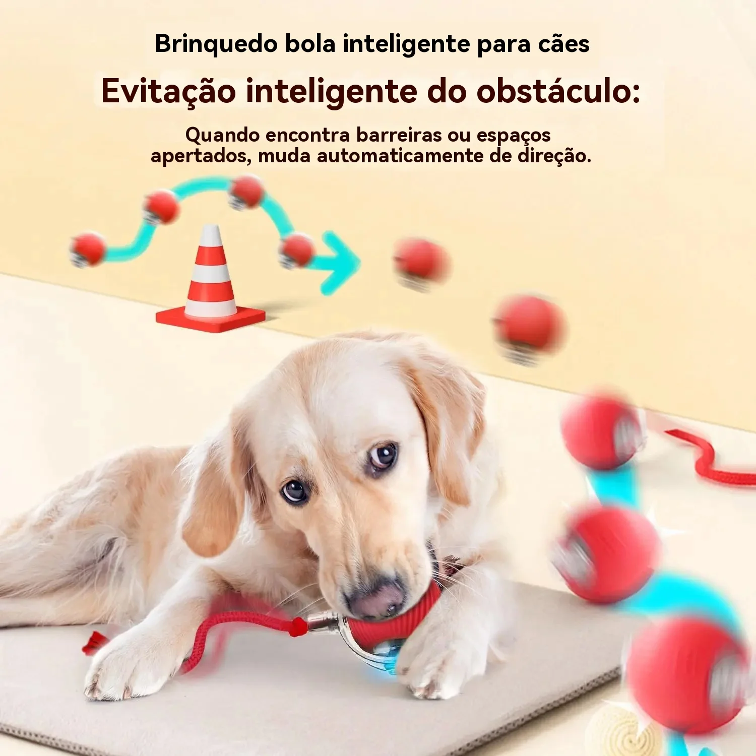 Bolinha Inteligente para Cães Inteligentes - Imagem 6