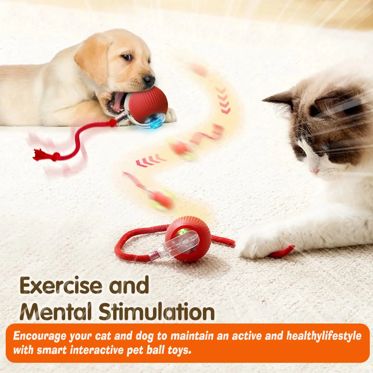 Bolinha Inteligente para Cães Inteligentes - Imagem 23